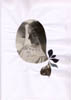 de marbre_collage_art