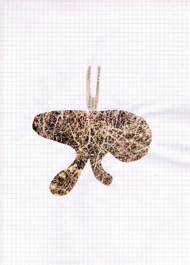 art_collage 